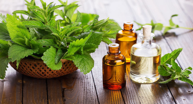 is peppermint oil good for humidifier