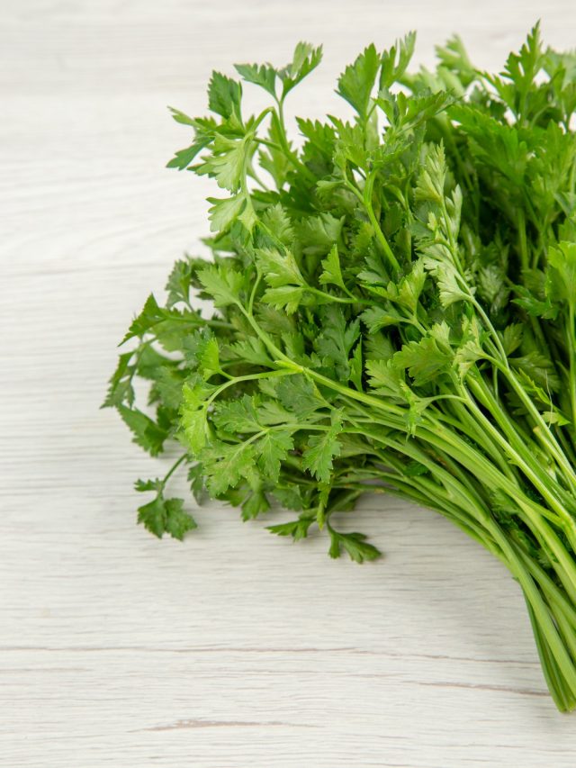 5 Surprising Health Benefits Of Coriander - Tata 1mg Capsules