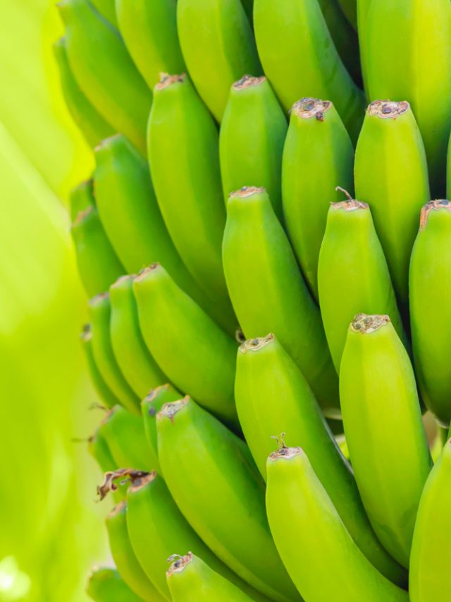 Top 5 health benefits of bananas