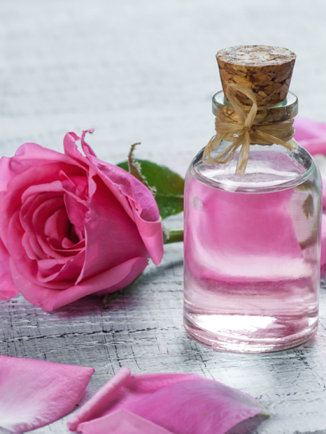 Ways To Use Rose Water For Glowing Skin In Winter Tata Mg Capsules