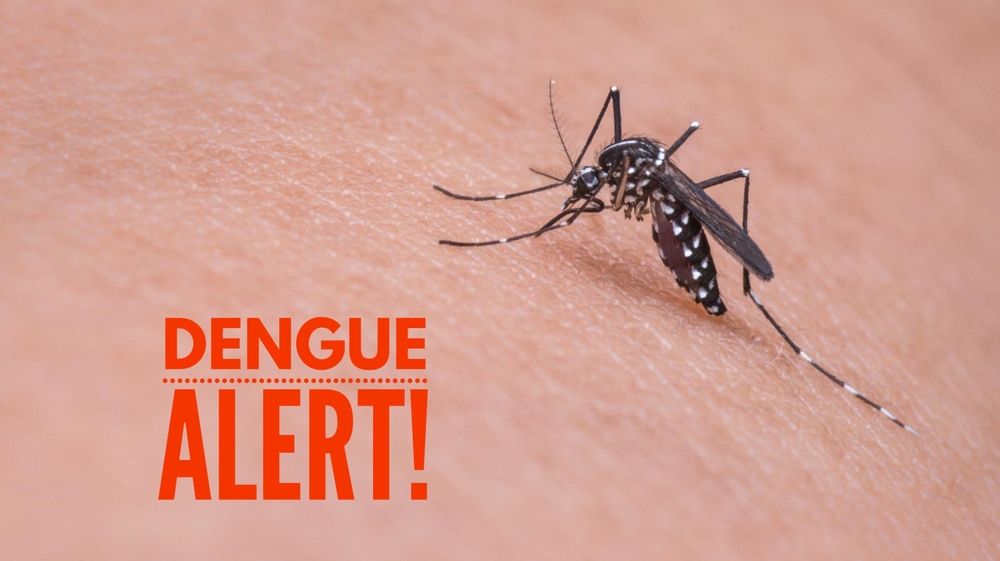 Dengue Alert: What You Need To Know This Season - Tata 1mg Capsules