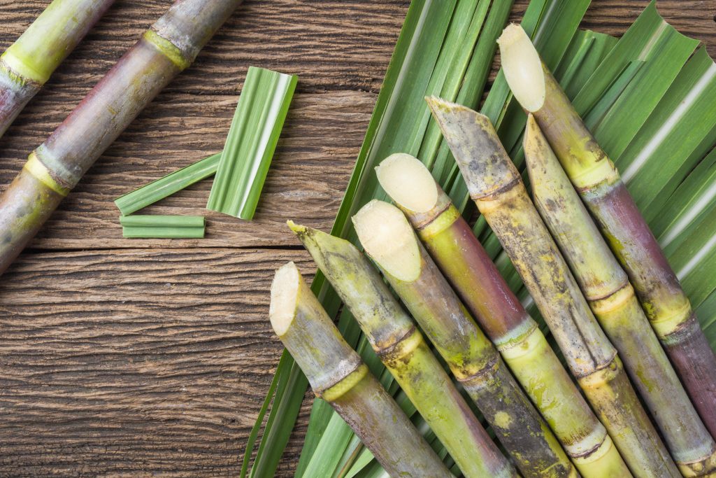 Benefits Of Sugarcane In Hindi 